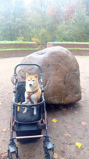 Foto van klantenbeoordeling
