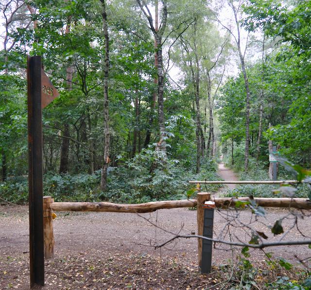 De vlag wijst direct naar het juiste pad.